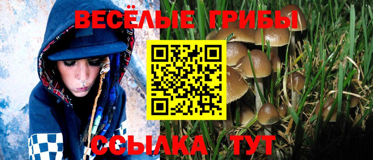Псилоцибиновые грибы ЛСД Дмитров