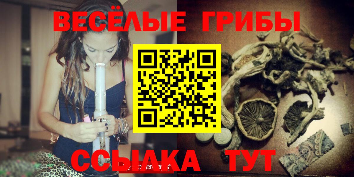 Дмитров  Галлюциногенные грибы Psilocybine cubensis  Вход с VPN 